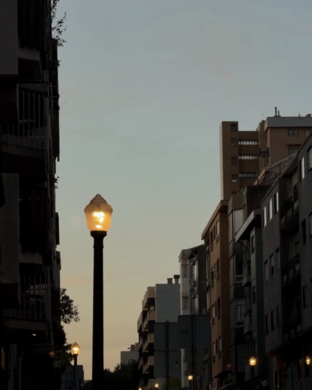 A street lamp coming on at dusk on a residential street